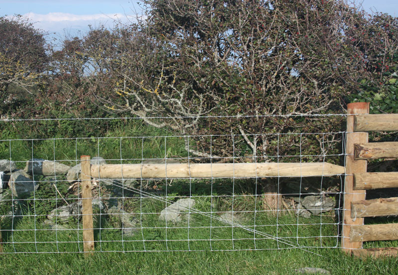 Fencing