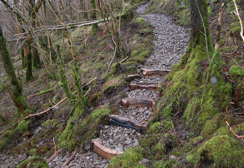 Footpaths and Access
