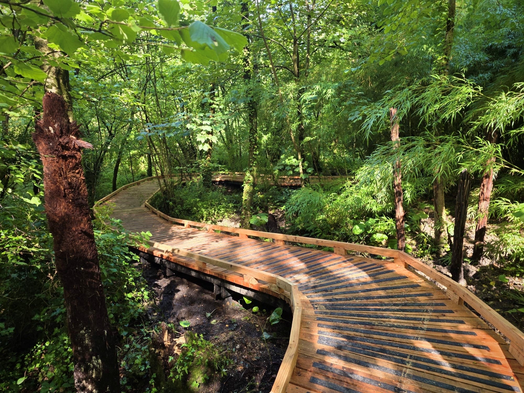 Footpaths and Access