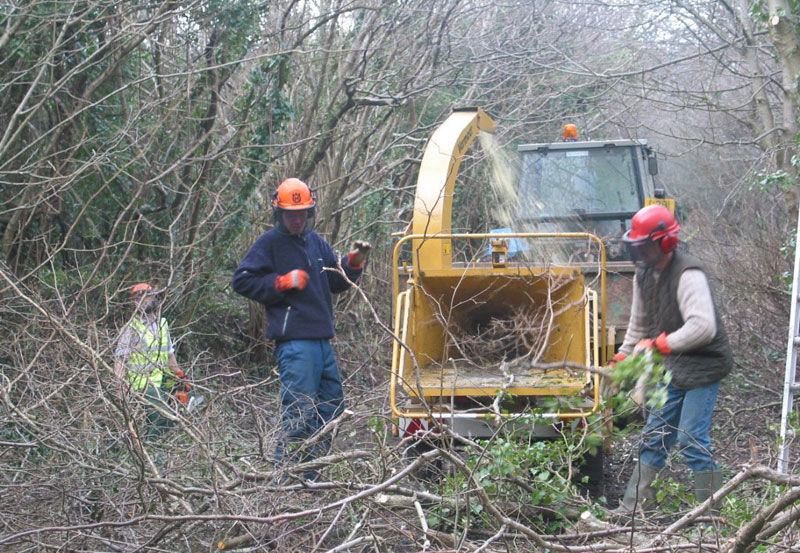 Vegetation Management