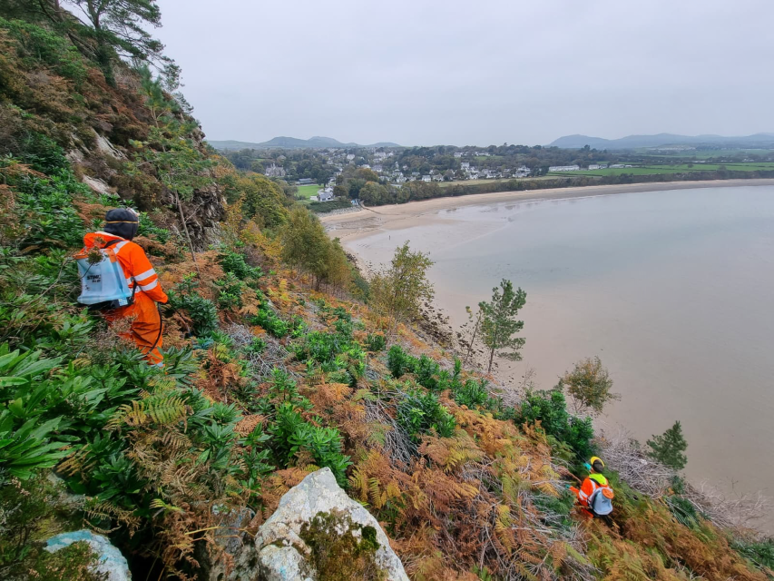 Invasive Plant Species Control